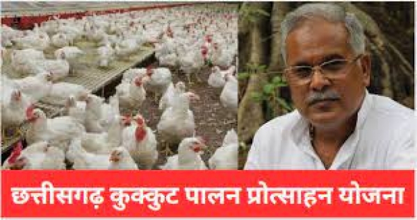 छत्तीसगढ़ कुक्कुट पालन प्रोत्साहन योजना के लिए आकस्मिकता निधि से 01 करोड़ की मंजूरी