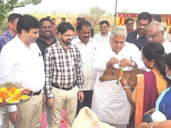 पूरे उत्साह से की गोवर्धन पूजा-मनाया गौठान दिवस के रूप में