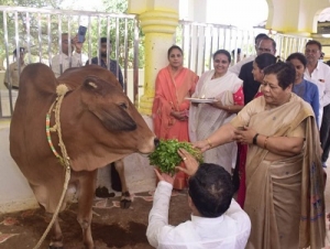 गाय की सेवा सबसे बड़ा पुण्य कार्य: रायपाल  अनुसुईया उईके