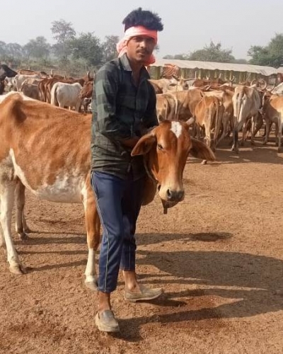गोधन न्याय योजना से चरवाहा चंद्रकांत यादव की खुली किस्मत कच्चा से पक्का मकान बनाने का सपना हुआ पूरा