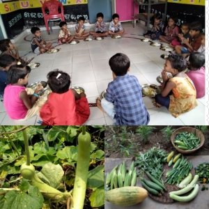 आंगनबाड़ी कार्यकर्ता ने घर पर ही तैयार कर दी पोषण वाटिका