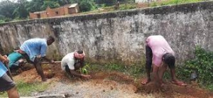 तत्परता एवं सक्रियता से कार्य कर रहे राजीव गांधी युवा मितान क्लब