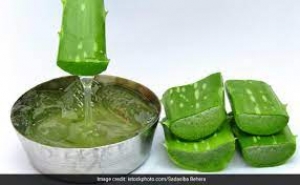 एलोवेरा में ये चीज मिलाकर हफ्ते में लगा लीजिए 2 बार, फेस पर पड़ी सिलवटें हो जाएंगी गायब आएगा गजब का निखार