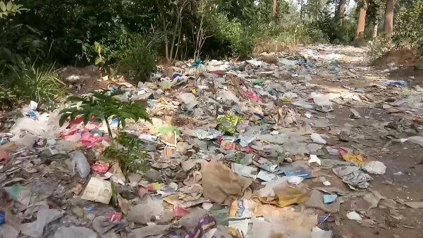 नगर पंचायत द्वारा शासन के पर्यावरण नियंत्रण एवं निवारण   नियमों की उड़ाई जारी  धज्जियां