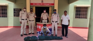 नवागढ़ पुलिस ने गांजे पर की कार्यवाही, 27 नग पौधे जप्त