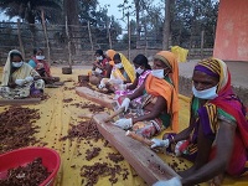 छत्तीसगढ़ सरकार की योजनाओं से आदिवासी क्षेत्रों में खुले खुशहाली के नये दरवाजे...