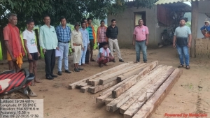 अवैध साल चिरान के विरुद्ध वन विभाग ने की बड़ी कार्यवाही