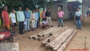अवैध साल चिरान के विरुद्ध वन विभाग ने की बड़ी कार्यवाही