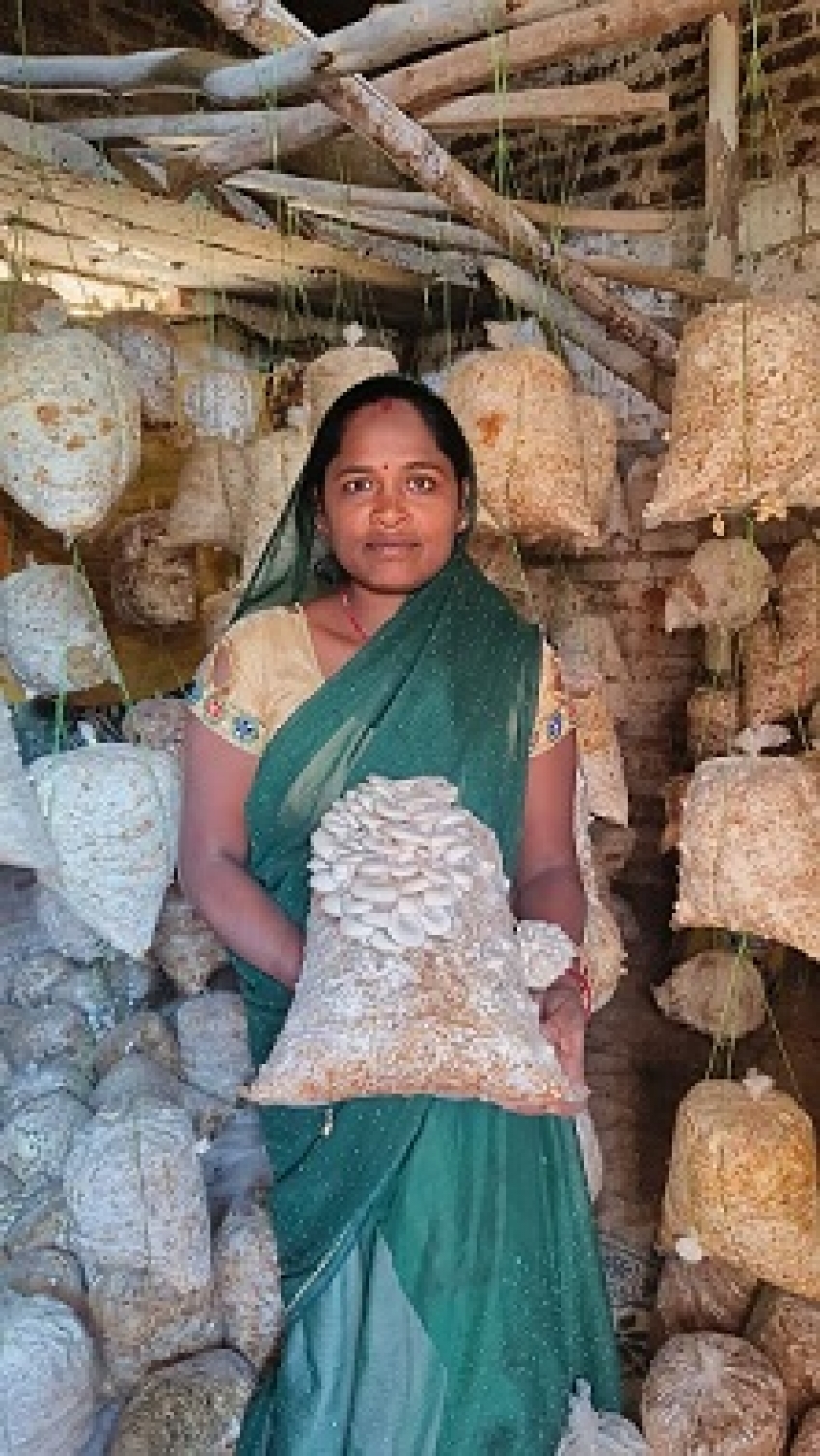 मुख्यमंत्री के सुशासन से सशक्त हुई महिलाएं : मजदूरी से मशरूम उत्पादन और अब स्वयं की दुकान से ‘लखपति दीदी’ बनीं बृहस्पति धुर्वे