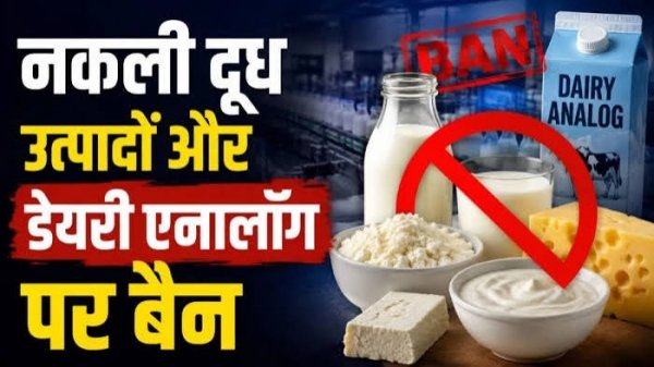 नकली डेयरी उत्पादों पर सख्त कार्रवाई: एनालॉग पनीर के निर्माण और बिक्री पर तत्काल रोक