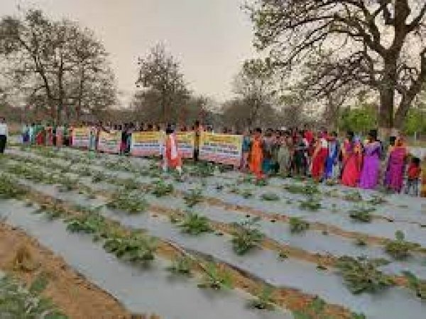 गोठान समूहों की 25 महिलाओं को क्षमतावर्धन हेतु कराया गया क्षेत्रीय भ्रमण