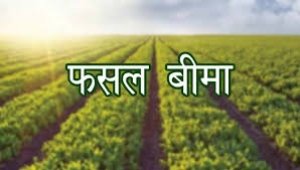 फसल बीमा कराने के लिये आवश्यक दस्तावेज जमा करने  की   अंतिम तिथि 15 जुलाई