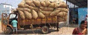गौठान में गतिविधियों से प्रभावित होकर  बड़ी मात्रा में गौ सेवी कर रहे हैं चारा दान