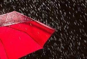 छत्तीसगढ़ में अब तक 1033.3 मि.मी. औसत वर्षा दर्ज प्रदेश में सर्वाधिक वर्षा बीजापुर जिले में और कम वर्षा सरगुजा जिले में