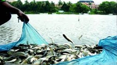 मछलीपालन विभाग: मोहला-मानपुर-अं.चौकी जलाशयों में केज पट्टे हेतु आवेदन आमंत्रित