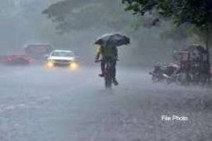 जिले में अब तक 992.8 मि.मी. औसत वर्षा दर्ज