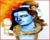समुद्र मंथन से निकला कालकूट विष कैसा था?