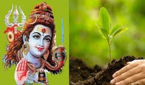 आज मनाई जा रही हरियाली अमावस्या, महिलाएं पति की दीर्घायु के लिए रखती हैं व्रत
