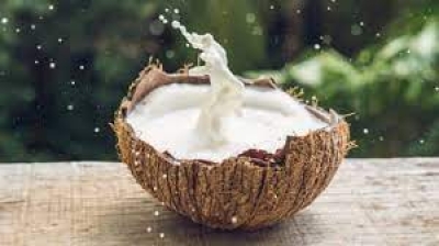 घर पर फ्रेश कोकोनट मिल्क से करें हेयर स्पा, जानें पूरा प्रोसेस