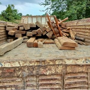 जगदलपुर रेंजर द्वारा लकड़ी तस्करों पर बड़ी कार्यवाही 1.83 घन मीटर लकड़ी की गई जब्त