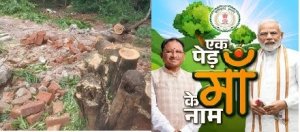 प्रदेश में  एक पेड़ माँ के नाम की धूम वही दुर्ग जिला मुख्यालय में कट गए आधा दर्ज़न  हरे पेड़