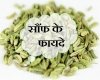 जानिए सौंफ के पानी के बेहतरीन सेहत लाभ के बारे में