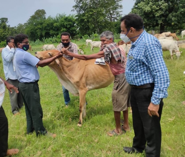 रोका-छेका अभियान अंतर्गत गौठानों में किया गया पशु चिकित्सा शिविर एवं संगोष्ठी का आयोजन