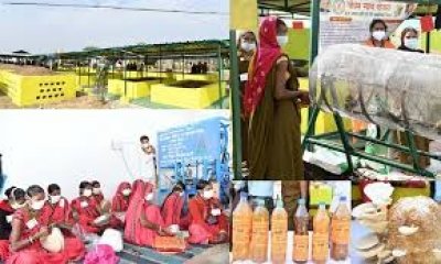 ग्रामीण औद्योगिक केन्द्र बना सेलर गौठान आत्मनिर्भरता की ओर अग्रसर सेलर की महिलाएं