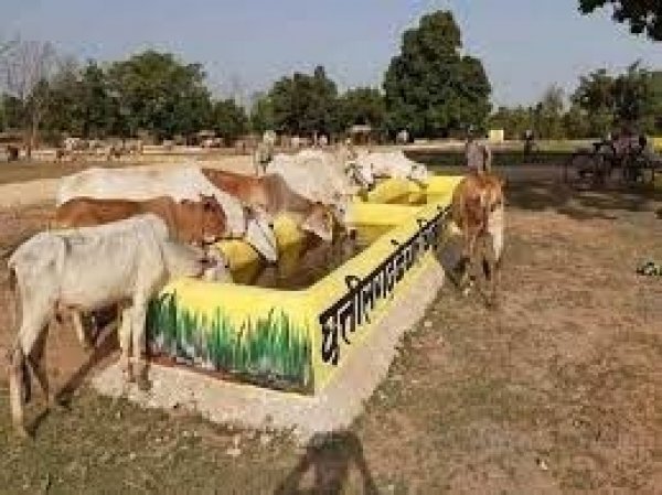 जिले में गोवर्धन पूजा को मनाया जाएगा गौठान दिवस के रूप में