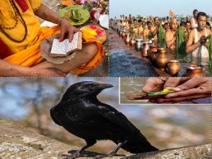 1 सितंबर से शुरू होंगे पितृ पक्ष, जानिए तिथि, श्राद्ध के नियम, विधि और महत्व