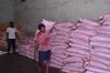 जिले में खाद-बीज की पर्याप्त उपलब्धता, किसानों को नहीं होगी किसी प्रकार की परेशानी ,  अब तक 17,205 मीट्रिक टन उर्वरक का वितरण, सहकारी समितियों में 7,236 क्विंटल बीज उपलब्ध
