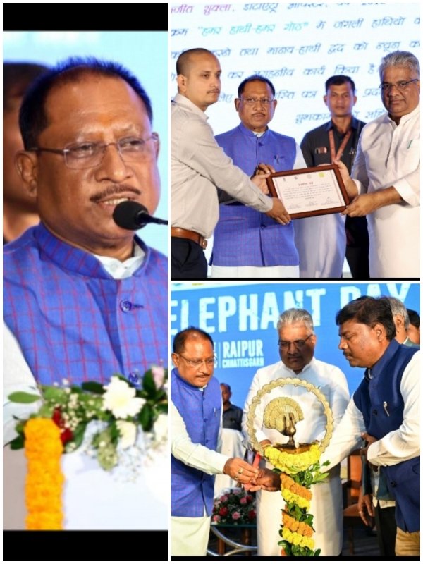 विश्व हाथी दिवस - 2024 : छत्तीसगढ़ का हाथियों से बहुत पुराना नाता, हाथी-मानव द्वंद रोकना हमारी सर्वाेच्च प्राथमिकता: मुख्यमंत्री साय