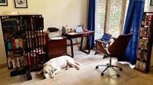 खिड़की के पास लगाएं ऑफिस टेबल, &lsquo;वर्क फ्रॉम होम&rsquo; होगा आसान