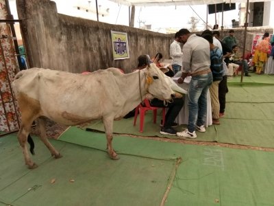 संकल्प परियोजना के तहत,रोजगार मेला का किया गया आयोजन