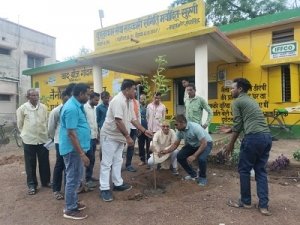 एक पेड़ माँ के नाम अभियान के तहत जिले के सभी शासकीय कार्यालयों में किया गया सघन पौधरोपण