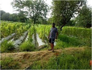 दो एकड़ से बढ़ाकर 10 एकड़ में की सब्जी की खेती, अभी तक कमाए लगभग पांच लाख रूपए