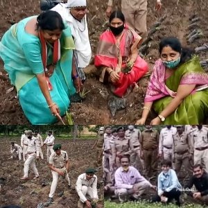 दुगली में वनमहोत्सव का आयोजन। शीशम,एलोवेरा के पौधे रोपे गए
