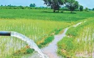 सिंचाई परियोजनाओं के लिए 22 करोड़ रूपए स्वीकृत