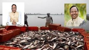 मछली पालन में छत्तीसगढ़ की बड़ी छलांग: दो वर्षों में उत्पादन 34% बढ़ा, राज्य देश में छठे स्थान पर