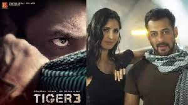 Tiger 3 के लिए और लंबा हुआ इंतजार, Salman Khan ने कर दी ये बड़ी अनाउंसमेंट