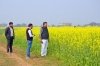 विशेष लेख : धान-परती भूमि में सरसों की खेती से किसानों की अच्छी आय संभव