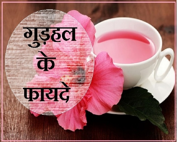 गुड़हल के फूल में छुपे हैं सेहत और सुंदरता के कई राज
