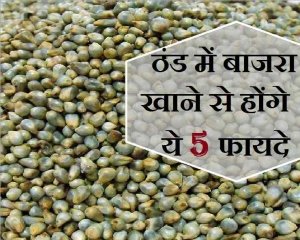 ठंड के मौसम में बाजरा खाने से मिलते हैं कई फायदे, जरूर जानें