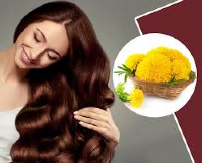 गेंदे के फूलों से बनाएं नेचुरल हेयर कलर, जानें बनाने और इस्तेमाल का तरीका