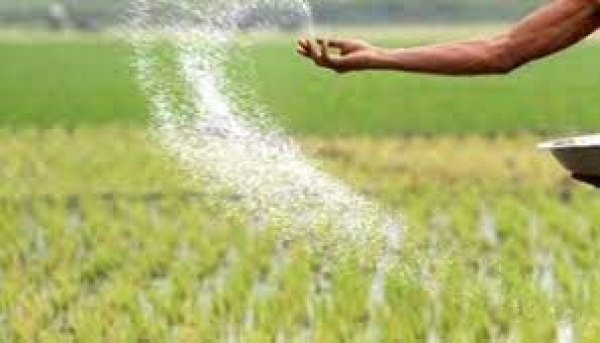 ग्रीष्मकालीन धान के बदले दलहन, तिलहन, मक्का, गन्ना फसल लेने किसानों को करें प्रोत्साहित - कलेक्टर