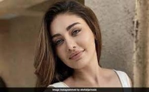 Shefali Jariwala ने बताया आखिर क्यों &#039;कांटा लगा&#039; के बाद नहीं किया ज्यादा काम, बोलीं-