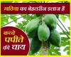 गठिया का रामबाण इलाज है कच्चे पपीते की चाय, जानें बनाने की विधि और 4 फायदे