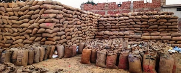 उदनपुर में नया धान खरीदी केन्द्र खुलने से 10 गांव के किसानों में उत्साह