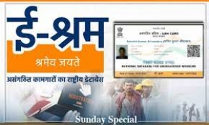 ई श्रम- कार्ड बनवाने पर मिलते हैं कई लाभ, जानिए आप कैसे कर सकते हैं सेल्फ रजिस्ट्रेशन?
