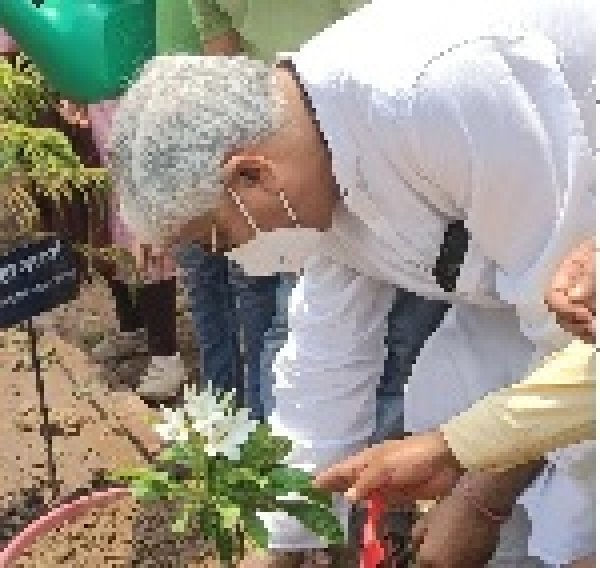 पौधा रोपण कर कबीरधाम स्वास्थ्य विभाग दे रहा संदेश, स्वास्थ्य सेवाओं के साथ पर्यावरण संरक्षण में विभाग ने निभाई भूमिका